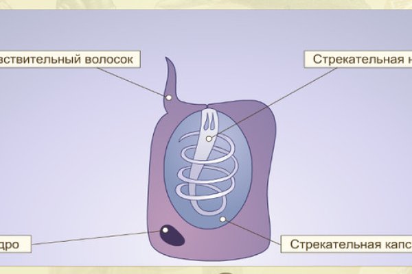 Кракен наркошоп сайт