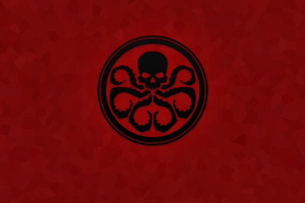 Kraken support