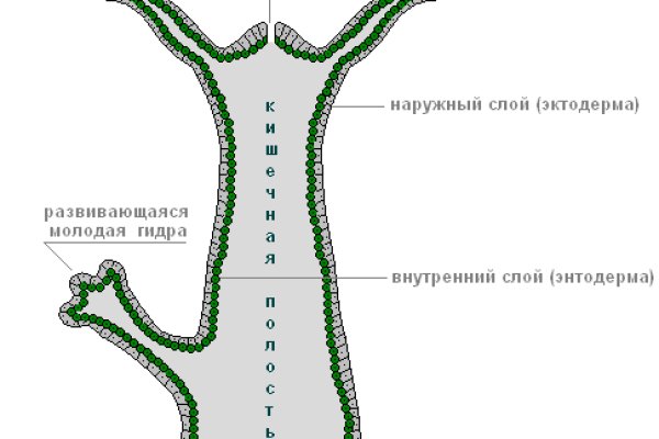 Кракен ссылка тор браузер